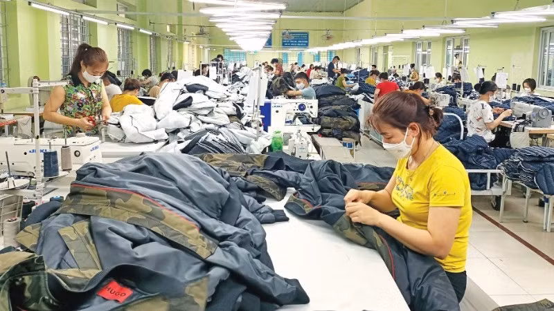 Garment production for export at Nam Dinh Textile and Garment Joint Stock Corporation. 