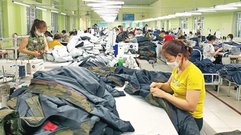 Garment production for export at Nam Dinh Textile and Garment Joint Stock Corporation. 