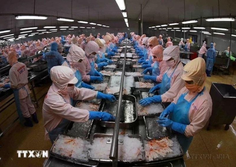 Illustrative image (Photo: VNA)