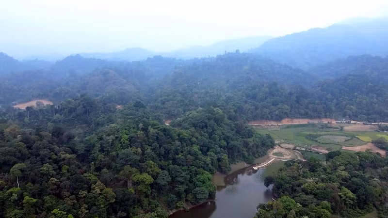 The Tan Trao special-use forest covers more than 4,000 hectares with a diverse ecosystem.