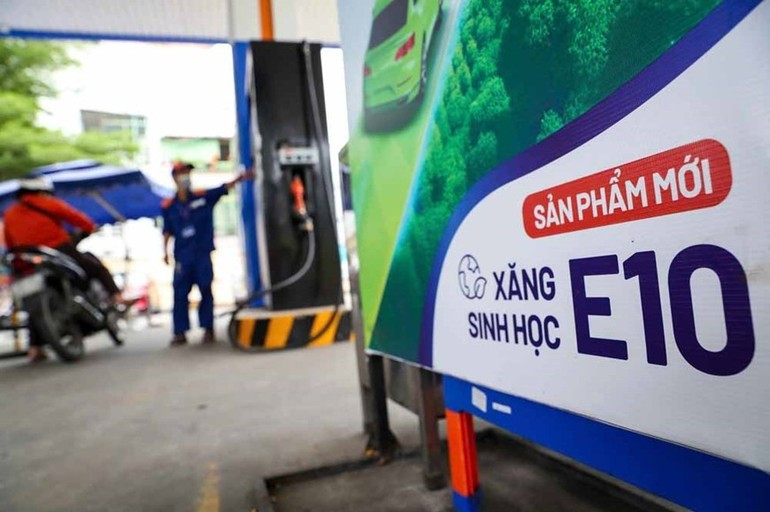 Tung Lam Co., Ltd. is one of the pioneering businesses in producing ethanol for biofuel in Viet Nam (Photo: NDO)