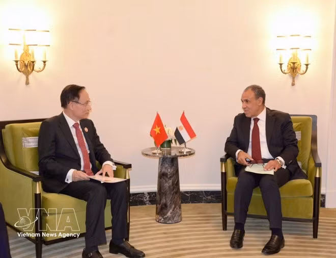 Foreign Minister Le Hoai Trung meets with Egyptian Foreign Minister Badr Abdelatty. (Photo published by VNA)