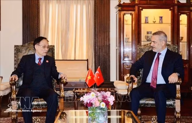 Foreign Minister Le Hoai Trung meets with Turkish Foreign Minister Hakan Fidan. (Photo published by VNA)