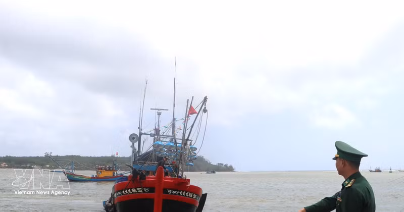 A border guard requests a fishing vessel to dock for verification of its entry and exit logs (Photo: VNA)