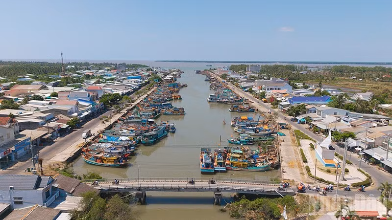 Dinh An Fishing Port in Dai An Commune, located within the Dinh An Economic Zone in Vinh Long Province, receives numerous offshore fishing vessels every day.