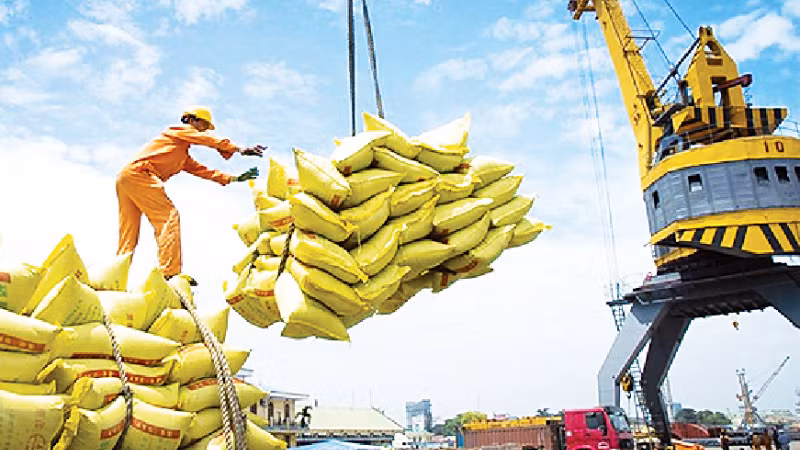 Senegal is a potential market for Viet Nam's rice exports. (Photo: NDO)