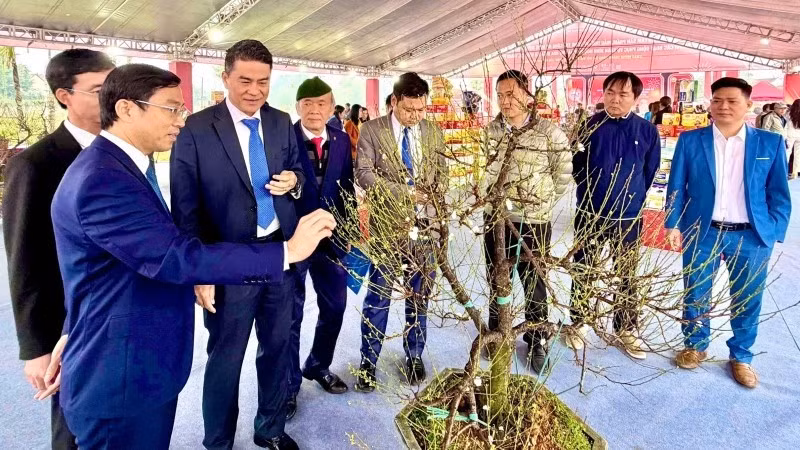 White apricot blossom from An Hoa Craft Village, Suoi Hai Commune, is introduced and promoted at the exhibition. (Photo: NDO)