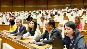 NA passes amended laws on corporate income tax, excise tax (Photo: VNA)
