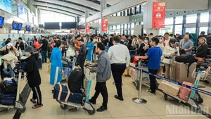 Airports across Viet Nam bustling with passengers in the first half of 2025