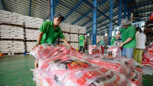 Packing rice for export at Chon Chinh Co., Ltd., Dong Thap. (Photo: DUC ANH) 