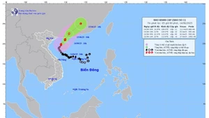Forecast map of the track and intensity of Storm No.01 as of 5:00 AM on June 14, 2025.
