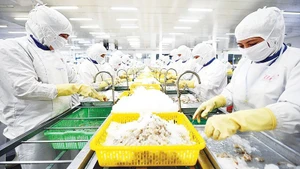 Many seafood enterprises have begun implementing blockchain technology to verify product origin and environmentally friendly production processes. (Photo: Thanh Dat)