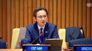 Ambassador Do Hung Viet, Permanent Representative of Viet Nam to the UN, speaks at the plenary debate themed “The rule of law at the national and international levels” hosted by the 80th UN General Assembly’s Legal Committee. (Photo: VNA)