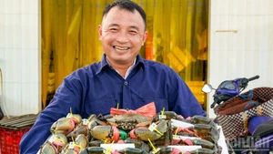 Ca Mau crabs are labelled with traceability stamps, ensuring they are not mixed with crabs from other regions across the country.