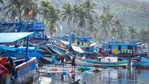 Hundreds of boats are damaged and washed ashore by waves in the Vung Chao area, Song Cau, Dak Lak Province after Storm No. 13. (Photo: Lam Phan)