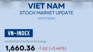 Infographic: VN-Index down 0.46% on November 25