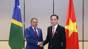Minister of Foreign Affairs Le Hoai Trung (right) and Solomon Islands Minister for Foreign Afairs and External Trade Peter Shanel Agovaka at their meeting on November 11. (Photo: Ministry of Foreign Affairs)
