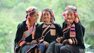 The Viet Nam Happy Fest 2025 helps spread Viet Nam’s message of happiness to the world. (Photo: Vu Linh)