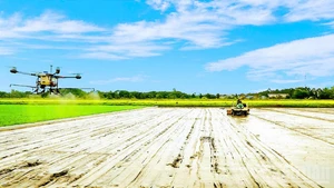 Farmers in Can Tho City apply high-tech solutions in production. (Photo: nhandan.vn)