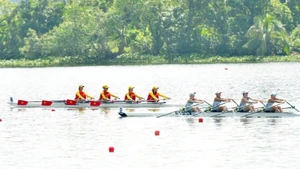 The women's four rowing team competes in the final event of the Asian Championships. (Photo: vhttdlhp.vn)