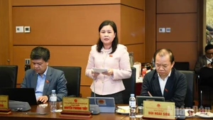 National Assembly deputies in a group discussion on November 5 (Photo: NDO)