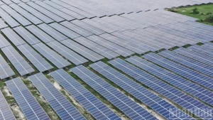 The solar panels at the Phong Phu solar farm in Lam Dong Province. (Photo: Van Duy)