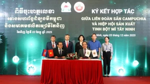 The Tay Ninh Starch Association and the Cambodia Cassava Federation sign several memoranda of understanding to promote the sustainable development of the cassava industry.