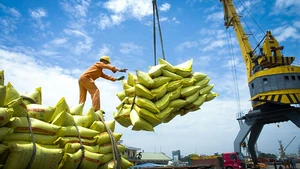 With strong contributions from exports of key commodities such as rice and seafood, Viet Nam’s total import–export turnover in 2025 has reached a record level of over USD 900 billion.