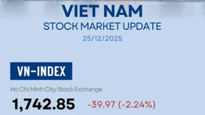 Infographic: VN-Index down 2.24% on December 25