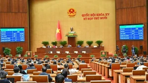 The NA meeting on December 11. (Photo: NDO)