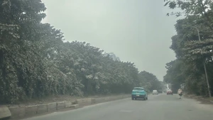 The road along Thang Long Boulevard (the section near Bao Son Paradise) is shrouded in a thick haze of dust. Trees lining the road have turned a chalky white, coated in a fine layer of powder. (Photo: Thuy Linh)