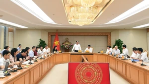 Deputy Prime Minister Bui Thanh Son speaks at the meeting (Photo: VGP)