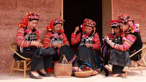 The art of making traditional attire by the Ha Nhi ethnic group was recognised as a National Intangible Cultural Heritage in 2023
