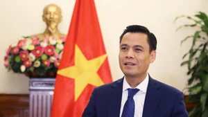 Deputy Minister of Foreign Affairs Dang Hoang Giang (Photo courtesy of the Ministry of Foreign Affairs)