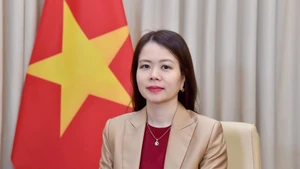 Deputy Minister of Foreign Affairs Nguyen Minh Hang (Photo: Vietnamese Ministry of Foreign Affairs)