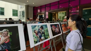 Works on display at the exhibition (Photo: VTV)