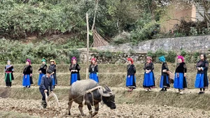 The Pat Oong ceremony aims to seek permission from the ancestors for the community to enter the new planting season, praying for favourable weather and abundant harvests.