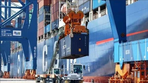 Loading and unloading import and export goods at Gemalink International Port (Photo: VNA)