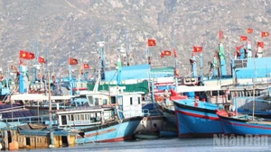 Fishing boat of fishermen in Ca Na commune, Khanh Hoa Province moored, preparing for repairs. (Photo: NGUYEN TRUNG)