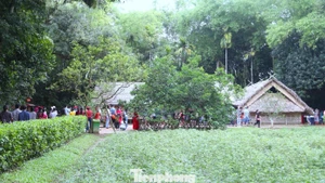 The Kim Lien special national relic site in Nghe An Province attracts large numbers of visitors during the Lunar New Year. (Photo: tienphong.vn)