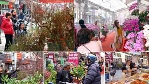 Hang Luoc Market: Ha Noi’s timeless Tet tradition in the Old Quarter (Photo: Viet Nam Pictorial)