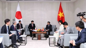 At the meeting between Permanent Deputy Foreign Minister Nguyen Minh Vu and Shimada Tomoaki, Parliamentary Vice Minister for Foreign Affairs of Japan (Photo: VNA)