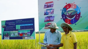 Farmers in An Giang province test a water-saving irrigation sensor station within the model of “low-emission rice cultivation for sustainable development of material rice farming areas for export in the Mekong Delta”. (Photo: VNA)