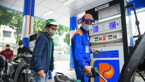 PVOIL’s nationwide network of more than 900 stations continues to operate steadily, contributing to market stability.