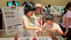 Visitors flock to see rare insect specimens at the Da dang sac mau con trung Viet Nam (The Diversity of Vietnamese Insects) exhibition at the Da Nang Museum. (Photo: nld.vn) 