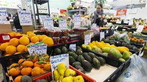 Export hub model opens new pathways for Vietnamese goods in Canada (Photo: VNA)