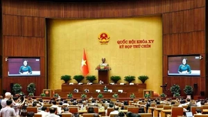 Lawmakers at the 9th session of the 15th National Assembly (Photo: VNA)