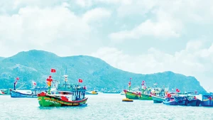 Fishing boats bustle at Con Dao harbour. (Photo: PHAM MONG)