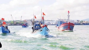 The fishing fleet of fishermen from Da Nang heads out to sea to harvest seafood. (Photo: Lan Anh)