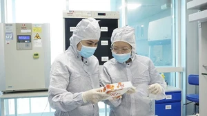 Viet Nam to continue strengthening social security policies in 2026 to improve living standards